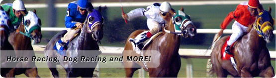 Horse Racing, Dog Racing and MORE!